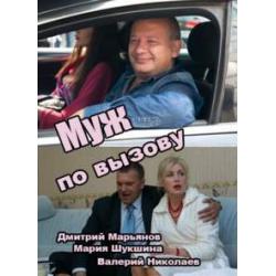 Муж по вызову (2015)