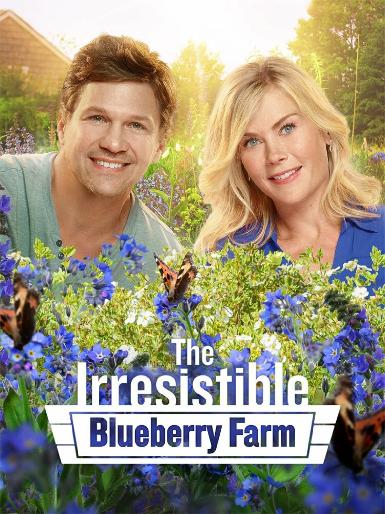 The Irresistible Blueberry Farm (2016)