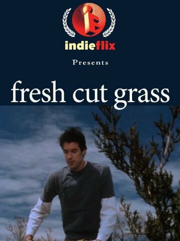 Свежескошенная трава (2004)